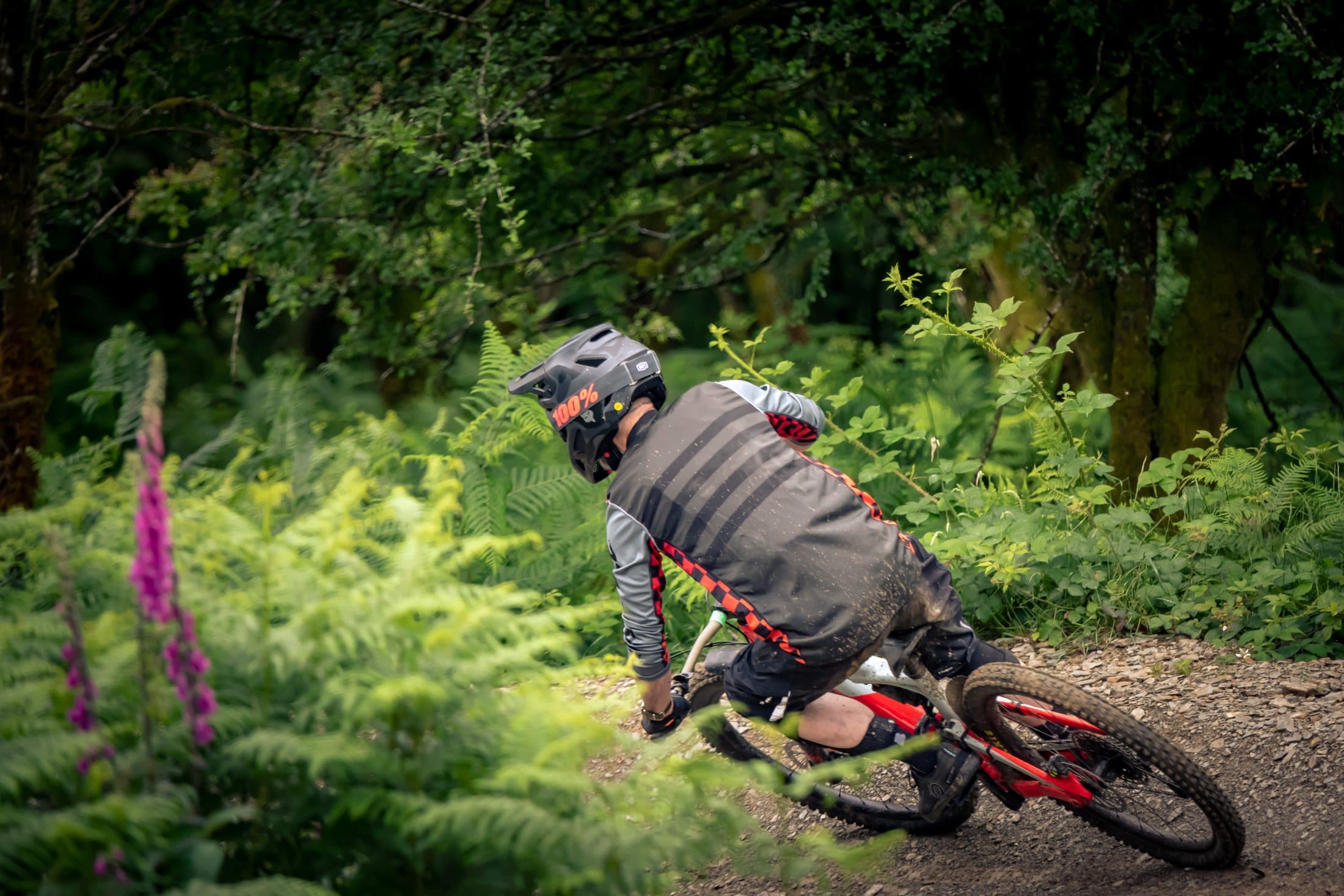 Rider carving a turn past foxgloves, low afternoon light