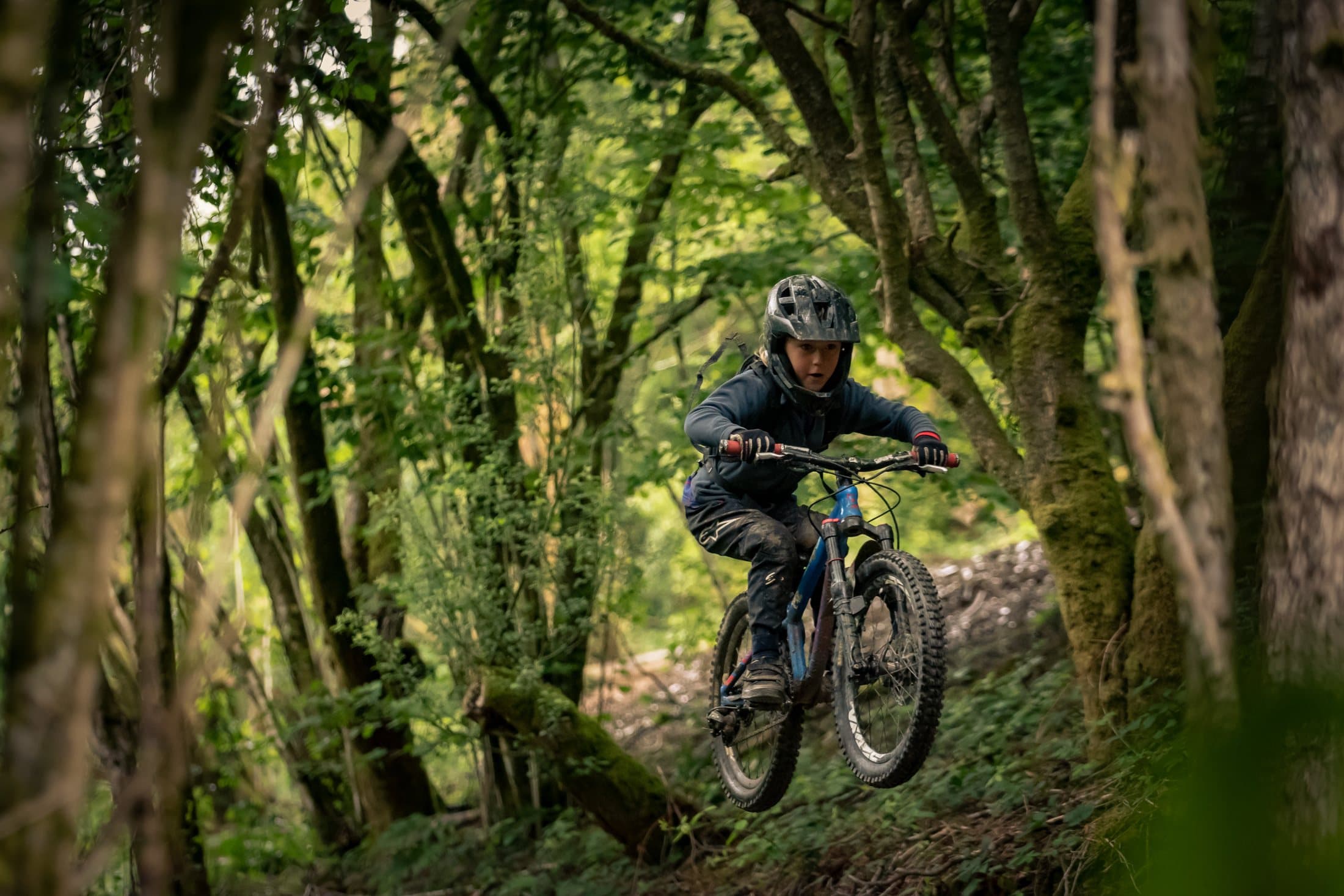 Rider in dark, mossy woodland section
