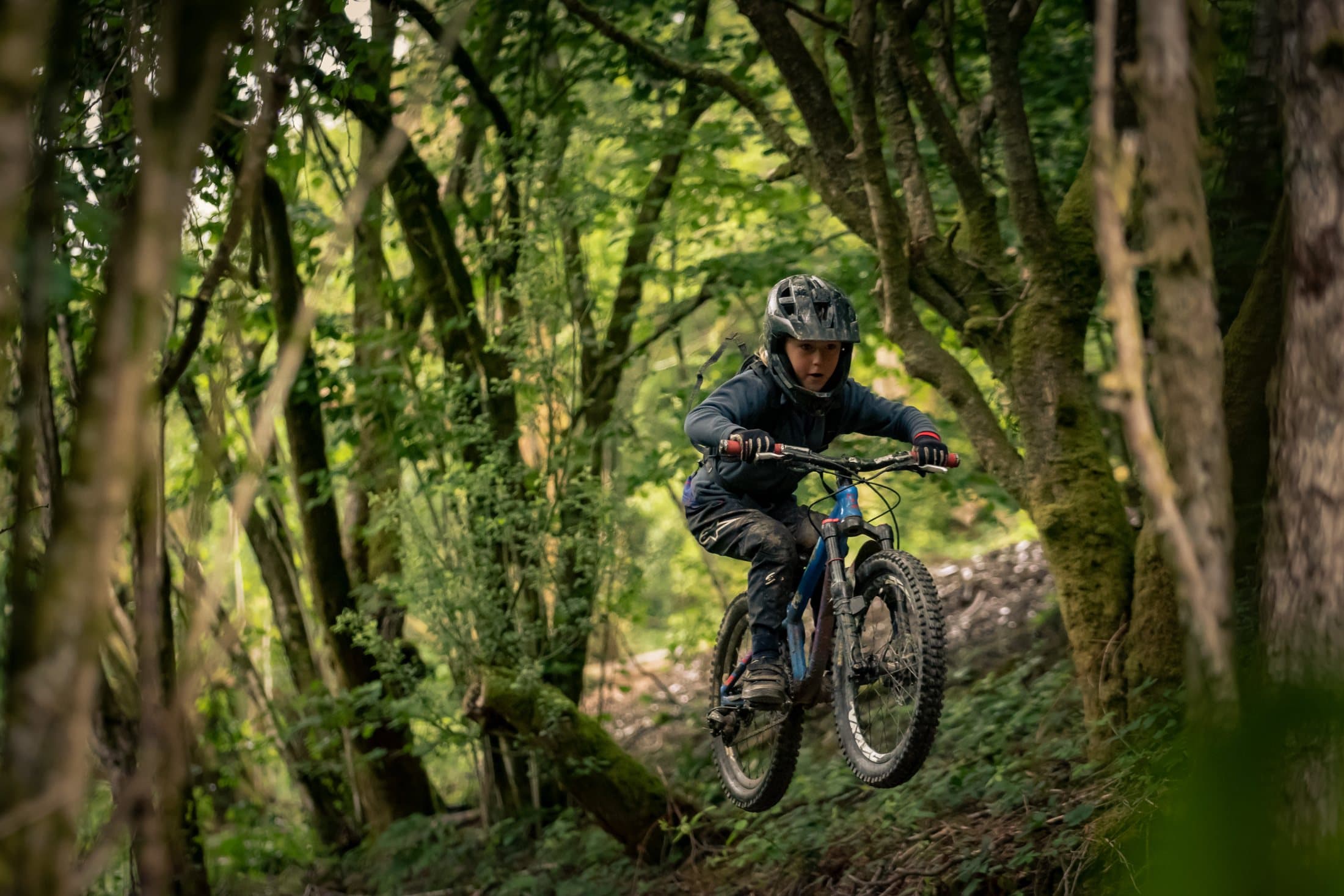 Rider popping off a lip in dense green woodland