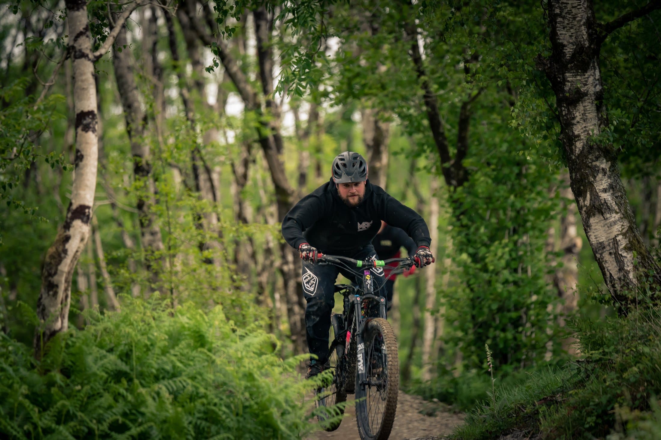 Rider coming straight at camera through silver birch