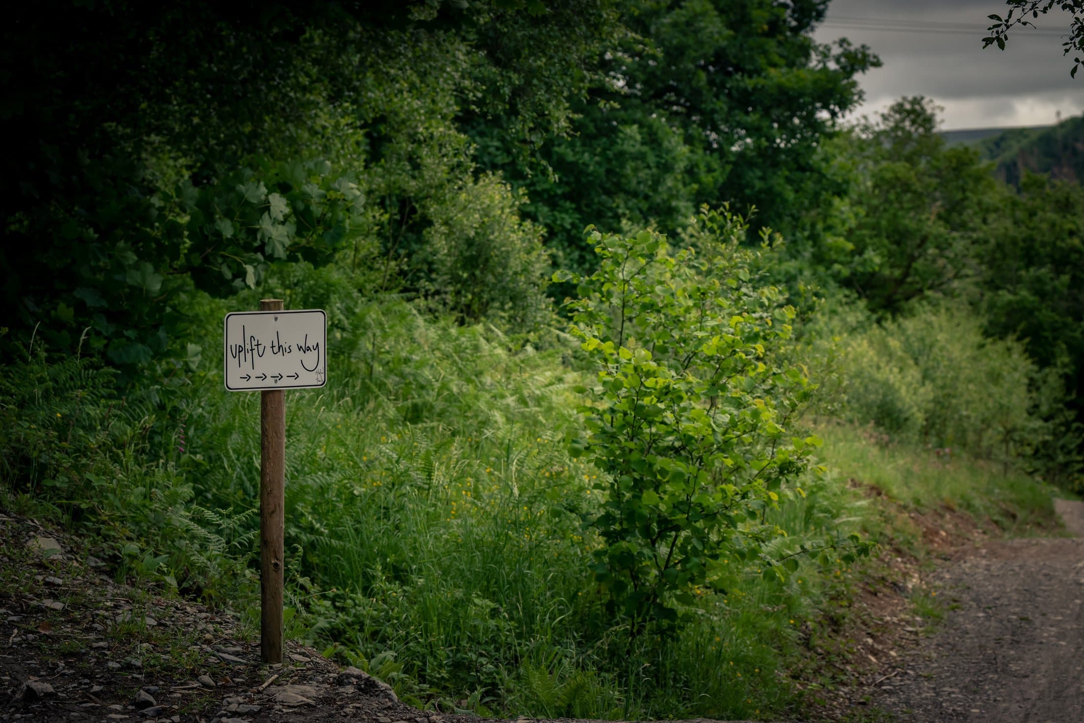 Wooden trail signpost at a junction in the woods